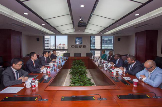 為中非合作搭建信用之橋——中國信保積極參與中非合作論壇北京峰會