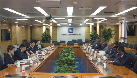 為中非合作搭建信用之橋——中國信保積極參與中非合作論壇北京峰會