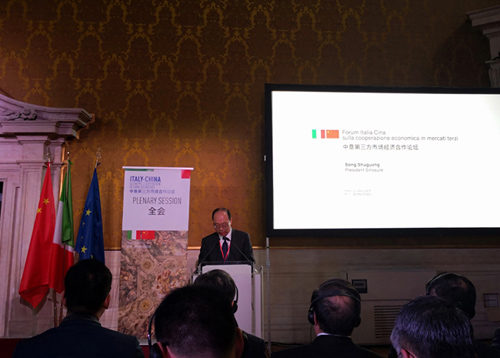 中國信保董事長宋曙光出席中國—意大利第三方市場論壇并致辭