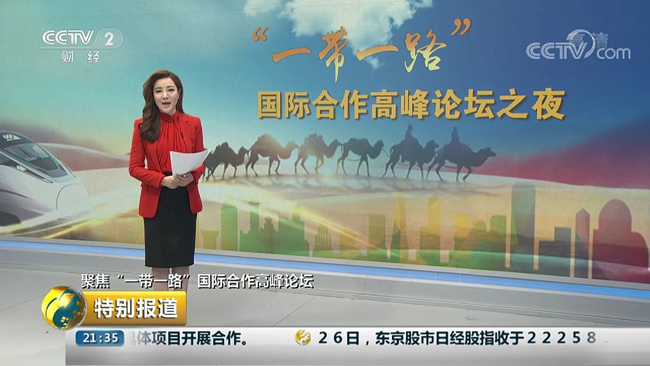 央視財經頻道采訪王廷科總經理