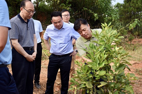 中國信保宋曙光董事長赴江西余干調研扶貧工作